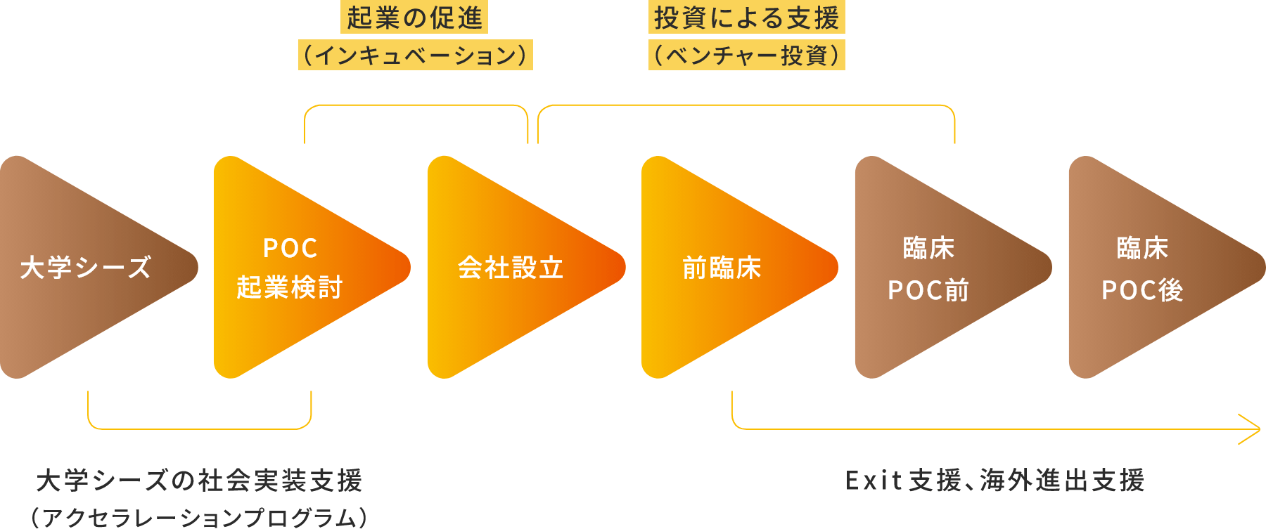 大学シーズの社会実装支援、起業の促進、投資による支援、投資後の海外進出